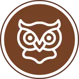 Sage archetype icon of owl