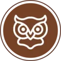 Sage archetype icon of owl